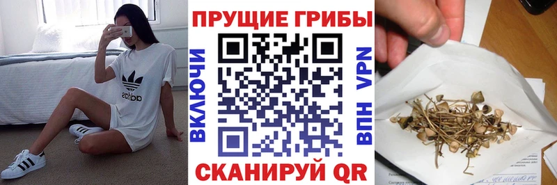 Псилоцибиновые грибы Psilocybine cubensis  продажа наркотиков  Тамбов 